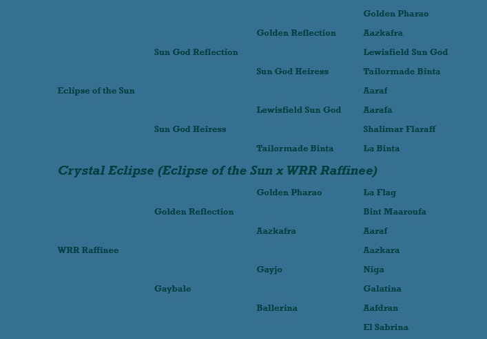 Crystal Eclipse pedigree