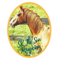 SK The Sun Magician (Heir tothe Sun x Rosalaina) 1999 Chestnut Stallion bred and owned by Sunh Kyst Arabians. 